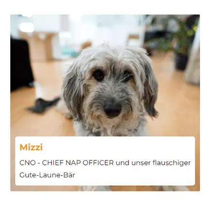 Office Chief für  Deutschland